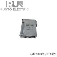 Yokogawa AAI543-S00 Analog Output Module